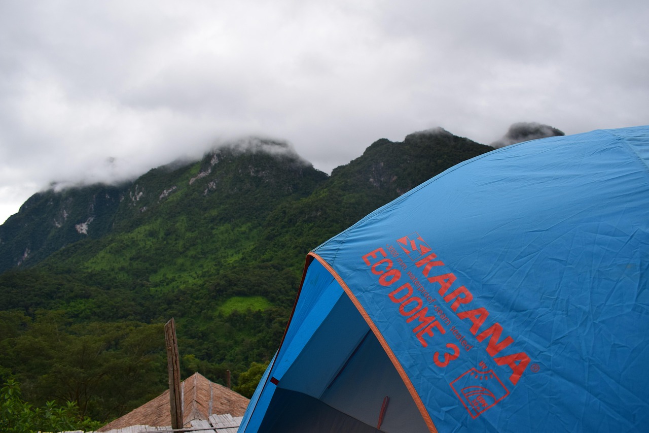 The Surge in Regulatory Scrutiny Over Decentralized Autonomous Organizations (DAOs) in Governance