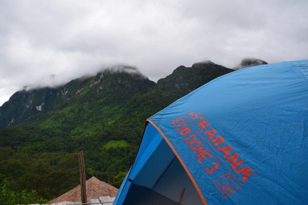 The Proliferation of Decentralized Autonomous Organizations in Global FinTech